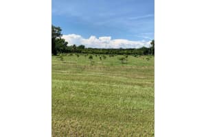 4831 Windmill Road, Loxahatchee, FL 33470 - MLS#R11117679