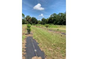 4831 Windmill Road, Loxahatchee, FL 33470 - MLS#R11117679