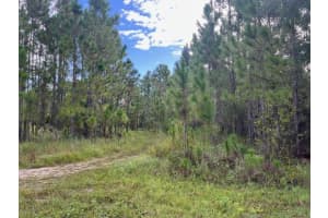 1135 Greenfield Street, Lake Placid, FL 33852 - MLS#R11118564