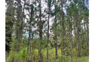 1135 Greenfield Street, Lake Placid, FL 33852 - MLS#R11118564