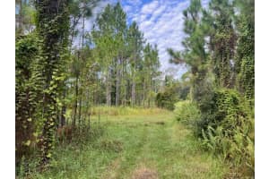 1137 Greenfield Street, Lake Placid, FL 33852 - MLS#R11118567