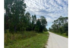 1137 Greenfield Street, Lake Placid, FL 33852 - MLS#R11118567