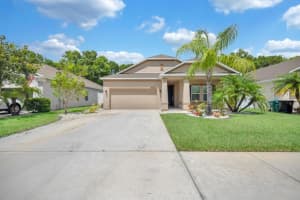 5335 Nw Wisk Fern Circle, Port Saint Lucie