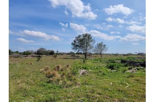 0 Cabbage Drive, Okeechobee, FL 34974 - MLS#R11120129