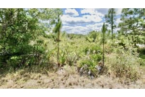 3362 Rhododendron Road, Lake Placid, FL 33852 Sold 02/27/26