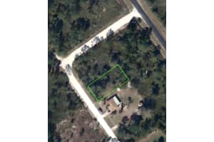 563 Pershing Avenue, Lake Placid, FL 33852 - MLS#R11121910