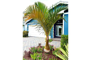 17238 Tawny Owl Trail, The Acreage, FL 33470 - MLS#R11122084