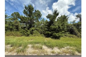 Tbd 177th Place, Ocala, FL 34473 - MLS#R11122110