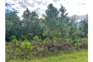 1131 Greenfield Street, Lake Placid, FL 33852 - MLS#R11122298