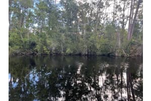 1131 Greenfield Street, Lake Placid, FL 33852 - MLS#R11122298