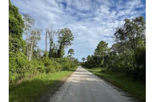 1131 Greenfield Street, Lake Placid, FL 33852 - MLS#R11122298