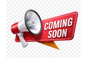 225 Ne 13th Street, Delray Beach, Fl 33444, Delray Beach