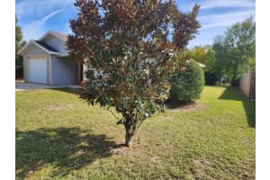 4647 Ne 15 Terrace Terrace, Gainesville, Fl 32609, Gainesville