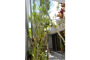 17145 Bay Street, Jupiter, FL 33477 - MLS#R11123377