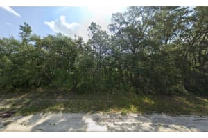 Tbd SW 146th Lane Road, Dunnellon, FL 34432 - MLS#R11123505
