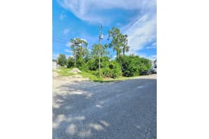 404 Greenwood Avenue, Lehigh Acres, FL 33972 - MLS#R11123580