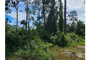 404 Greenwood Avenue, Lehigh Acres, FL 33972 - MLS#R11123580