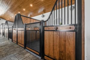 5181 Lasso Way Stalls, Wellington, FL 33449 - MLS#R11124026
