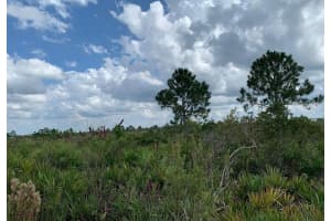 48341 Bermont Road, Punta Gorda, FL 33982 - MLS#R11125089