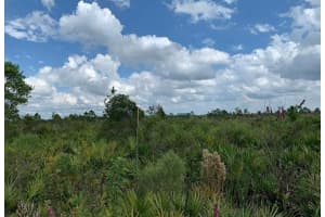 48341 Bermont Road, Punta Gorda, FL 33982 - MLS#R11125089