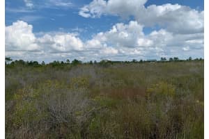 48341 Bermont Road, Punta Gorda, FL 33982 - MLS#R11125089