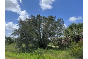 17915 290th Street, Okeechobee, FL 34972 - MLS#R11125216