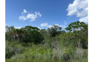 15723 304th Street, Okeechobee, FL 34972 - MLS#R11125221