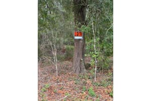 120 S Graham Road, Avon Park, FL 33825 - MLS#R11125495