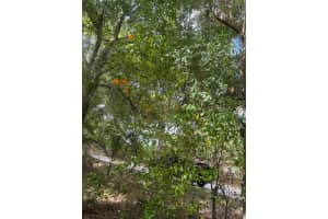 120 S Graham Road, Avon Park, FL 33825 - MLS#R11125495