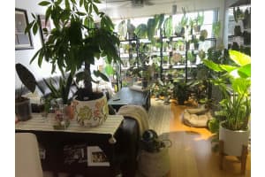 3511 Village Boulevard, West Palm Beach, FL 33409 - MLS#R11125574