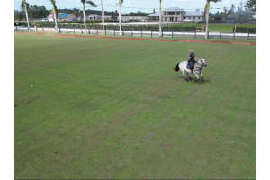 16098 Deer Path Lane, Wellington, FL 33470 - MLS#R11127222