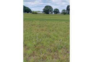 316 Costa Del Sol Drive, Sebring, FL 33876 - MLS#R11128707