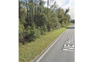 0 NE 315 Hwy, Fort Mc Coy, FL 32134 - MLS#R11129078