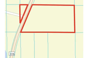 0 NE 315 Hwy, Fort Mc Coy, FL 32134 - MLS#R11129078