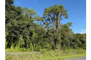 0 Magnolia Drive, Okeechobee, FL 34972 Sold 03/27/26