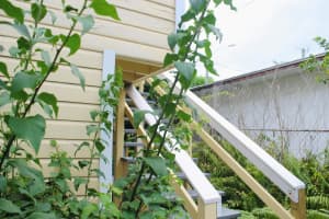 1211 Florida Avenue, West Palm Beach