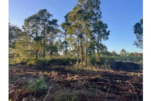 15417 NW 310th Street, Okeechobee, FL 34972 - MLS#R11132841