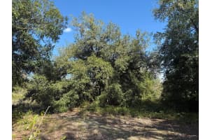 17129 NW 286th Street, Okeechobee, FL 34972 - MLS#R11132942