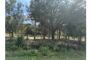 15838 NW 312th Street, Okeechobee, FL 34972 Sold 01/22/26