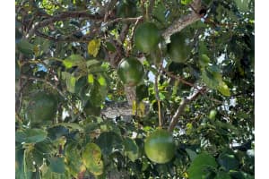 2623 Northside Drive, Lake Worth, FL 33462 - MLS#R11133913