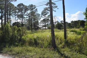 0 Tree Top Trail, Fort Pierce, FL 34951 Sold 12/17/25