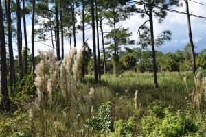 0 Tree Top Trail, Fort Pierce, FL 34951 Sold 12/17/25