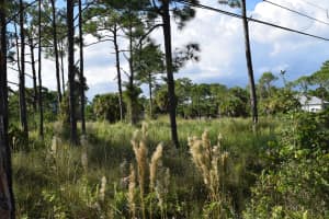 0 Tree Top Trail, Fort Pierce, FL 34951 Sold 12/17/25