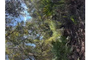 0 NW 294th Street, Okeechobee, FL 34972 - MLS#R11135160