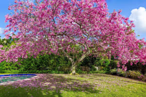 334 Barton Avenue, Palm Beach, FL 33480 - MLS#R11135805