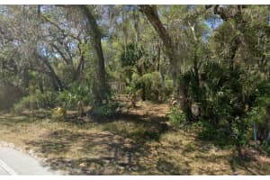 20315 SE Highway 42, Weirsdale, FL 32195 - MLS#R11136098
