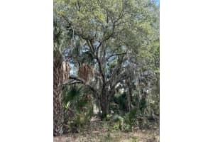1701 Cabbage Wood Road, Okeechobee, FL 34974 - MLS#R11137879