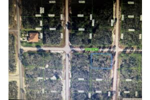 314 Spitfire Street, Lake Placid, FL 33852 - MLS#R11137885