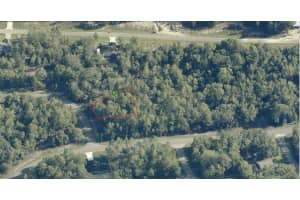 1915 Shellbark Drive, Citrus Springs, FL 34434 - MLS#R11138100