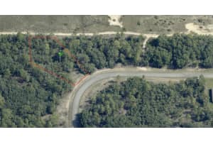 3051 Redgate Drive, Citrus Springs, FL 34433 - MLS#R11138118